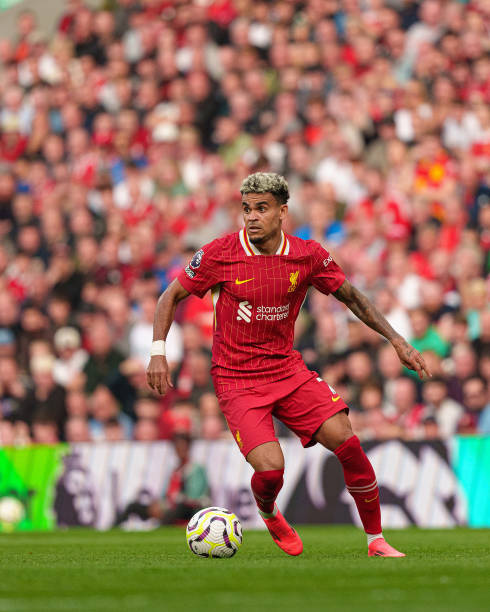 贯的参赛名 贯的参赛名